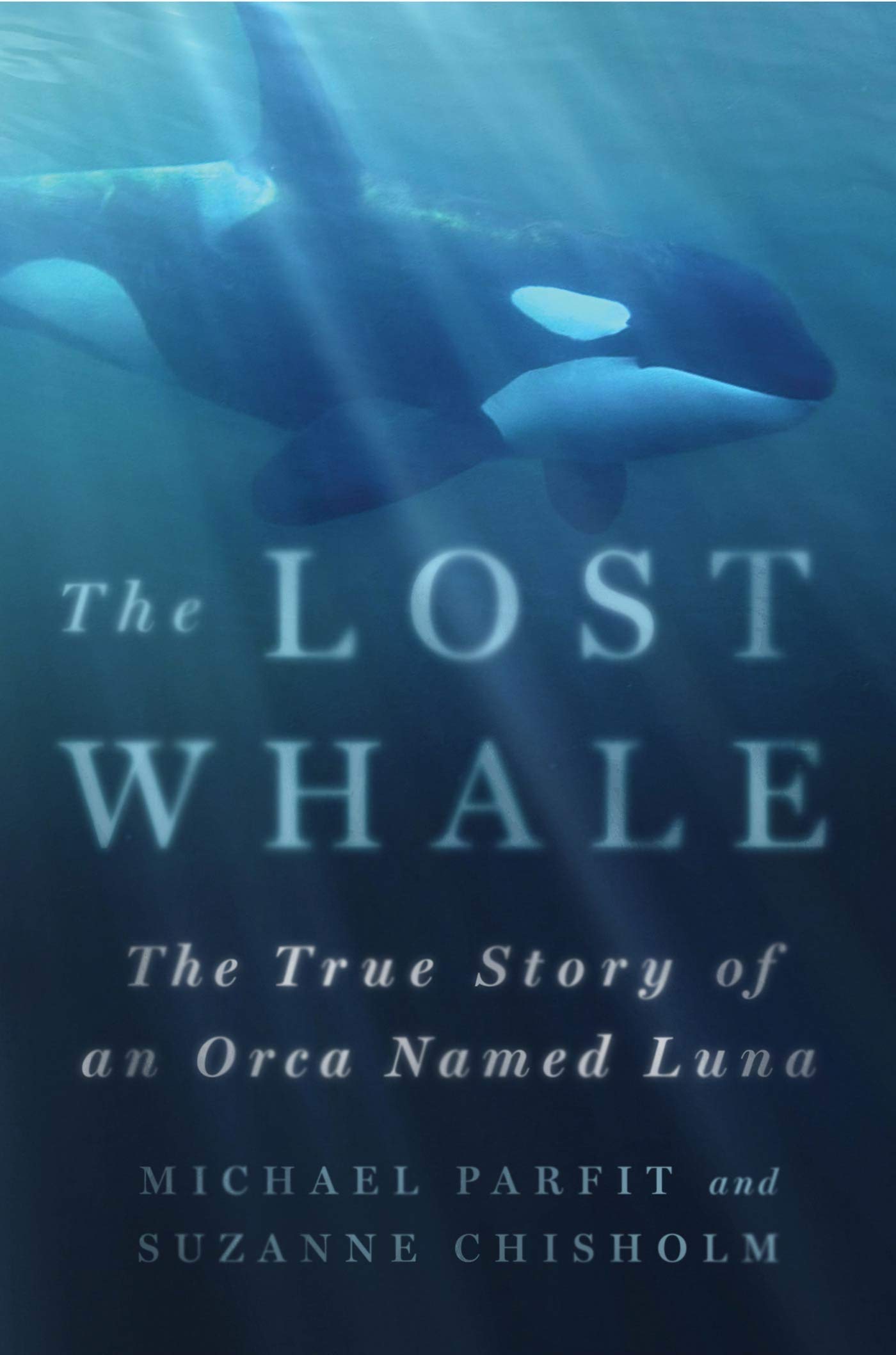 Lost Whale book cover